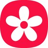 葱花影评 